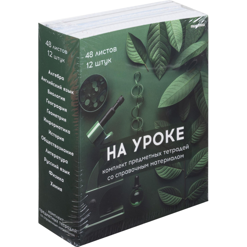 Тетрадь предметная 48л. НА УРОКЕ, набор 12 шт., 48-2380