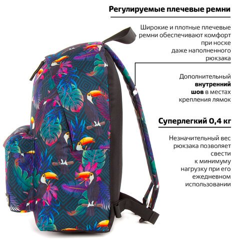 Рюкзак BRAUBERG, универсальный, сити-формат, «Туканы», 20 литров, 41×32х14 см