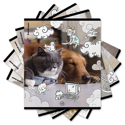 Тетрадь обложка пластик, А5, 48 л., скоба, клетка, ErichKrause, «Dream Cat» (микс в спайке)