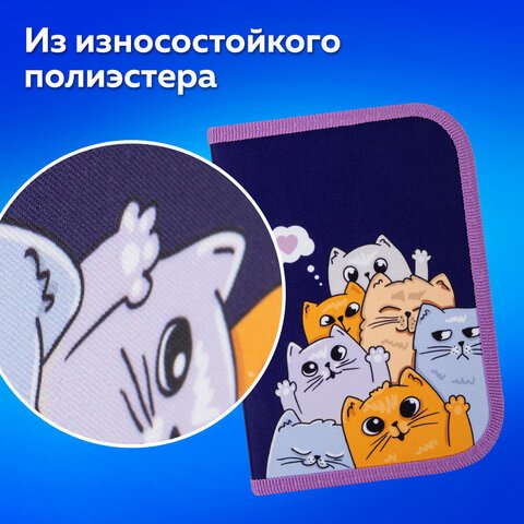 Пенал ПИФАГОР, 1 отделение, 1 откидная планка, полиэстер, 19×13 см, «Cats greetings»