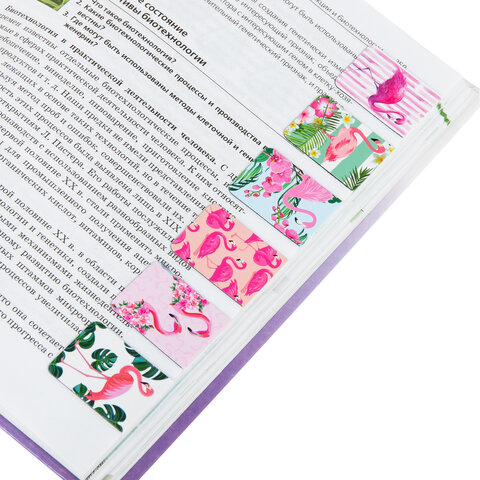 Закладки для книг МАГНИТНЫЕ, «FLAMINGO», набор 6 шт., 35×25 мм, BRAUBERG