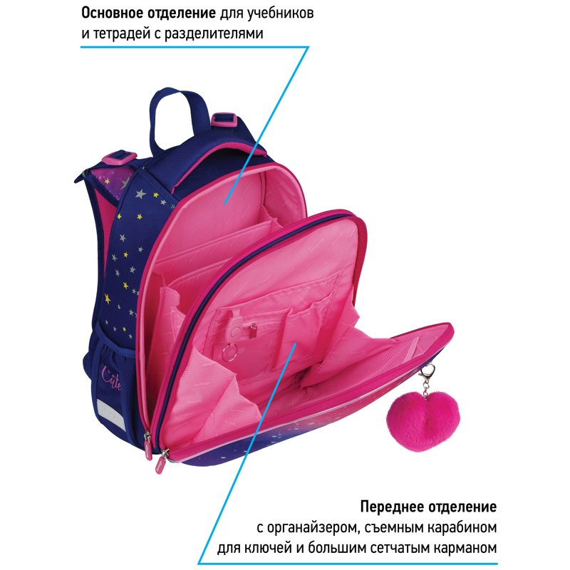 Ранец Berlingo Expert «Akita boy» 37×28×16см, 2 отделения, 2 кармана, анатомическая спинка