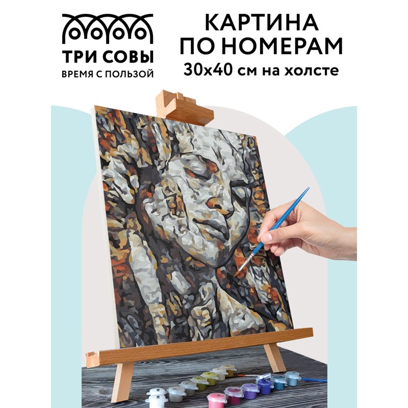 Картина по номерам на холсте ТРИ СОВЫ «Абстракция», 30×40см, с акриловыми красками и кистями