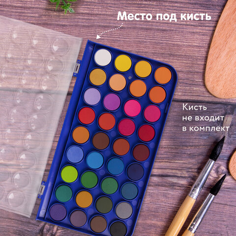 Краски акварельные BRAUBERG «PREMIUM» 36 цветовкруглые кюветы 23 ммпенал191746