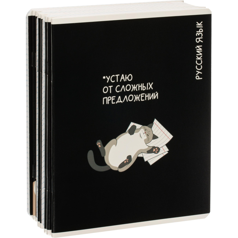 Тетрадь предметная КОТЫ МЕМЫ, набор12 шт.48л, А5+, клетка/линия/71449