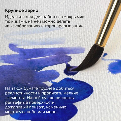 Папка для акварели/планшет, 300 г/м2, 270×390 мм, склейка, крупное зерно, 20 л., BRAUBERG ART PREMIERE
