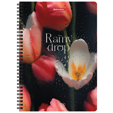 Тетради ДЭК А4 96 л. КОМПЛЕКТ 2 шт., BRAUBERG, гребень, клетка, 80 г/м2, Soft-Touch, «Aesthetics»