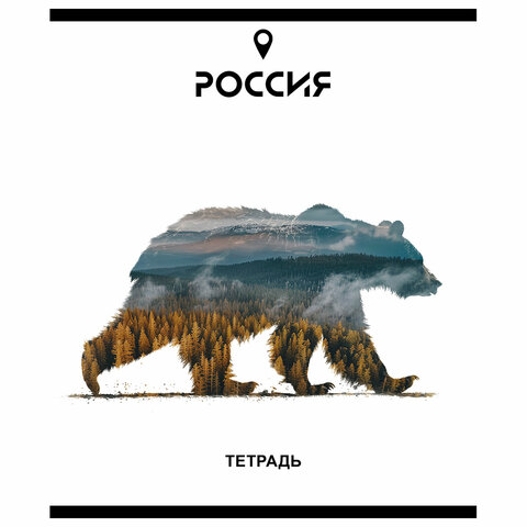 Тетрадь А5 48 л. ПЗБМ, скоба, клетка, Soft Touch, брайль, «Место Силы» (микс в спайке)