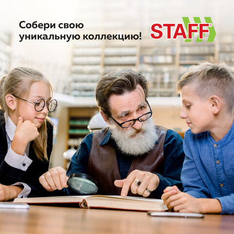 Альбом нумизмата для 297 монет и 6 бон (купюр) «OPTIMA», 230×270 мм, ПВХ, коричневый, STAFF