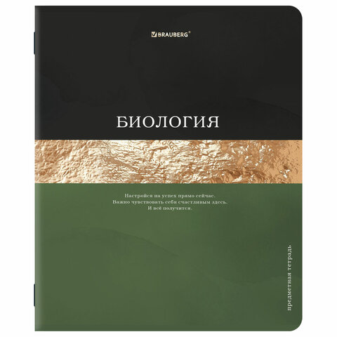 Тетради предметные, КОМПЛЕКТ 12 ПРЕДМЕТОВ, 48 л., матовая ламинация, фольга, BRAUBERG «GOLDY»