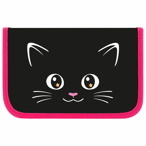 Пенал ПИФАГОР, 1 отделение, ламинированный картон, 19×11 см, «Dark kitten»