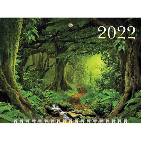 Мими Новые Серии 2022 Года