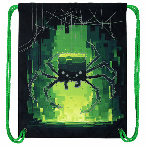 Мешок для обуви BRAUBERG PREMIUM, карман, подкладка, светоотражайка, 43×33 см, Digital spider