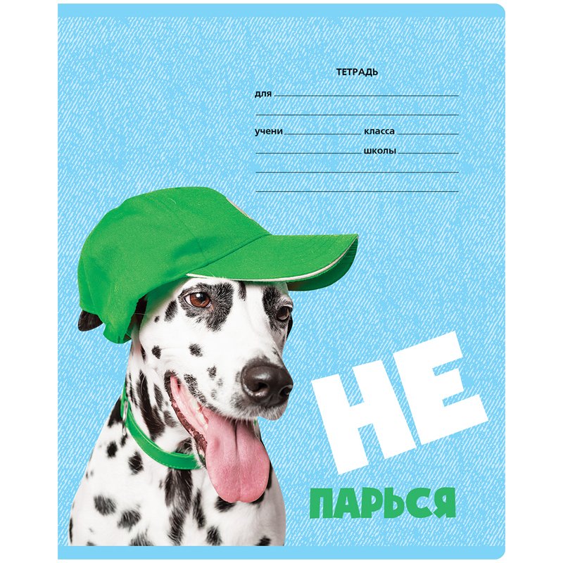 Тетрадь 12л., косая линия c доп. горизонтальной BG «Freshy»
