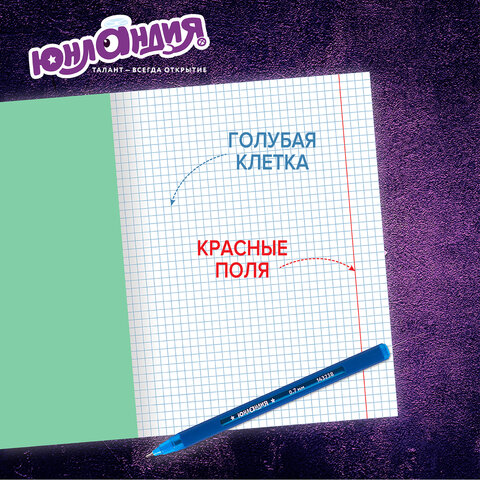 Тетради ДЭК 18 л. КОМПЛЕКТ 20 шт. с ЗЕЛЁНОЙ обложкой, ЮНЛАНДИЯ, клетка