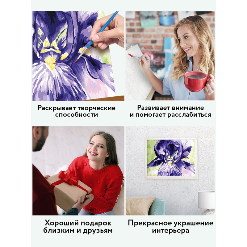 Картина по номерам на холсте ТРИ СОВЫ «Ирис», 30×40, с акриловыми красками и кистями