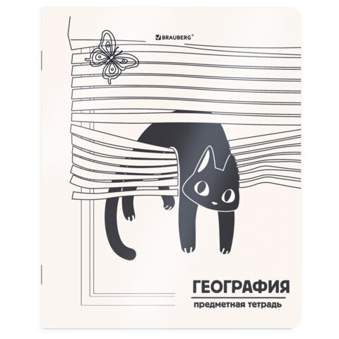 Тетради предметные, КОМПЛЕКТ 12 ПРЕДМЕТОВ 48 л., пластиковая обложка, BRAUBERG «КОТ-НЕПОСЕДА»