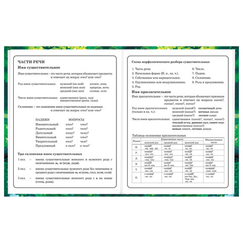 Дневник 1-4 класс 48 л., твердый, BRAUBERG, глянцевая ламинация, с подсказом, «Панда». 