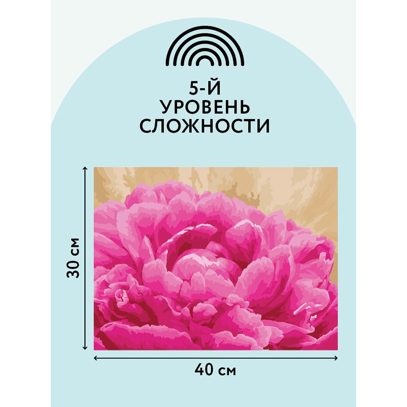 Картина по номерам на картоне ТРИ СОВЫ «Пион», 30×40, с акриловыми красками и кистями