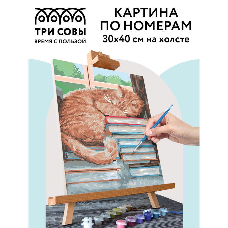 Картина по номерам на холсте ТРИ СОВЫ «Дневной сон», 30×40, с акриловыми красками и кистями