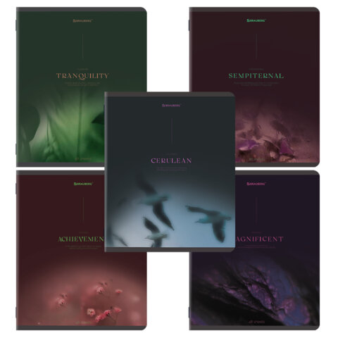 превью Тетрадь А5, 48 л., BRAUBERG, скоба, клетка, SoftTouch, «Peaceful», (микс в спайке)