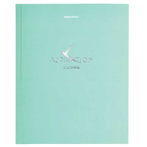 превью Дневник 5-11 класс 48 л., твердый, BRAUBERG, фольга, с подсказом, «Aspiration»