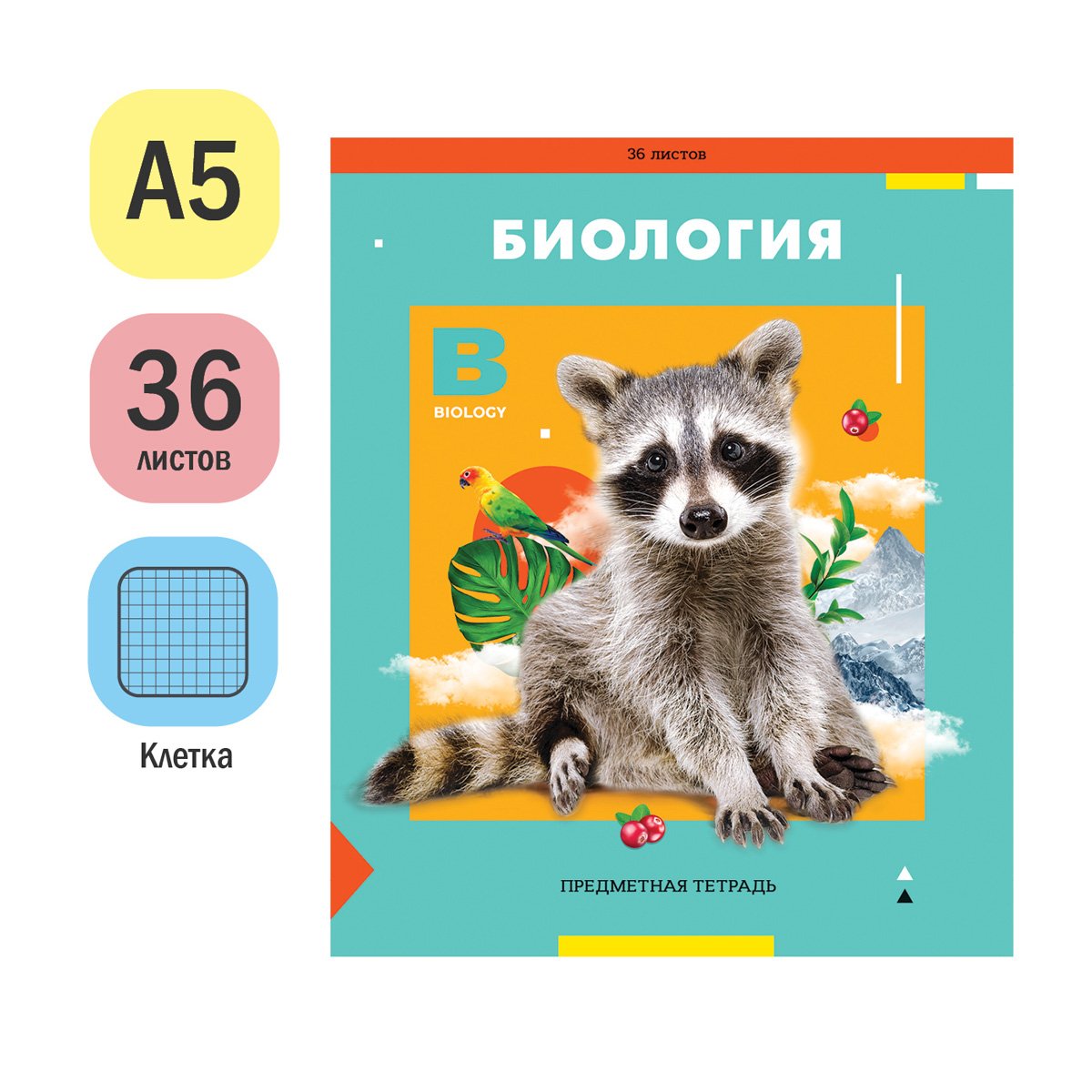 Тетрадь предметная 36л. ArtSpace «Пять в квадрате» - Биология, эконом