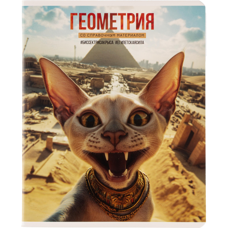 Тетрадь предметная СЕЛФИ, набор 12шт., А5+, клетка/линия/71451