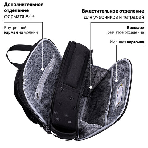 Ранец BRAUBERG FIT, 2 отделения, «Dark cat», 38×27х14 см