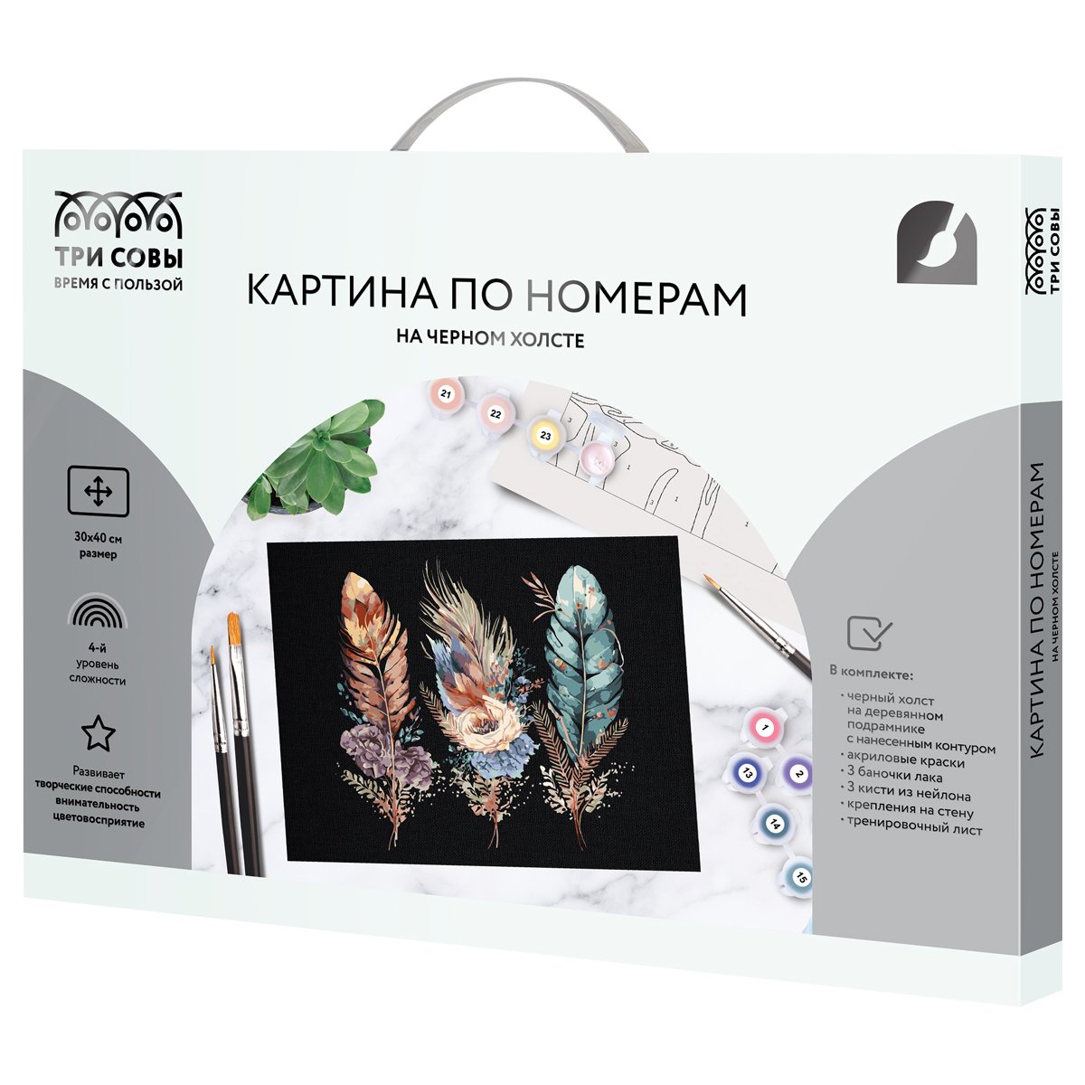 Картина по номерам на черном холсте ТРИ СОВЫ «Легкость пера», 30×40, c акриловыми красками и кистями