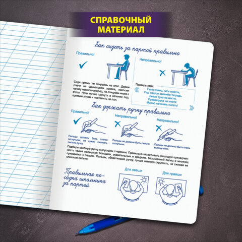 Тетрадь УЧУСЬ ПИСАТЬ №3 12л. косая линия с ДОПОЛНИТЕЛЬНОЙ ГОРИЗОНТАЛЬНОЙ, со справочным материалом, ЮНЛАНДИЯ