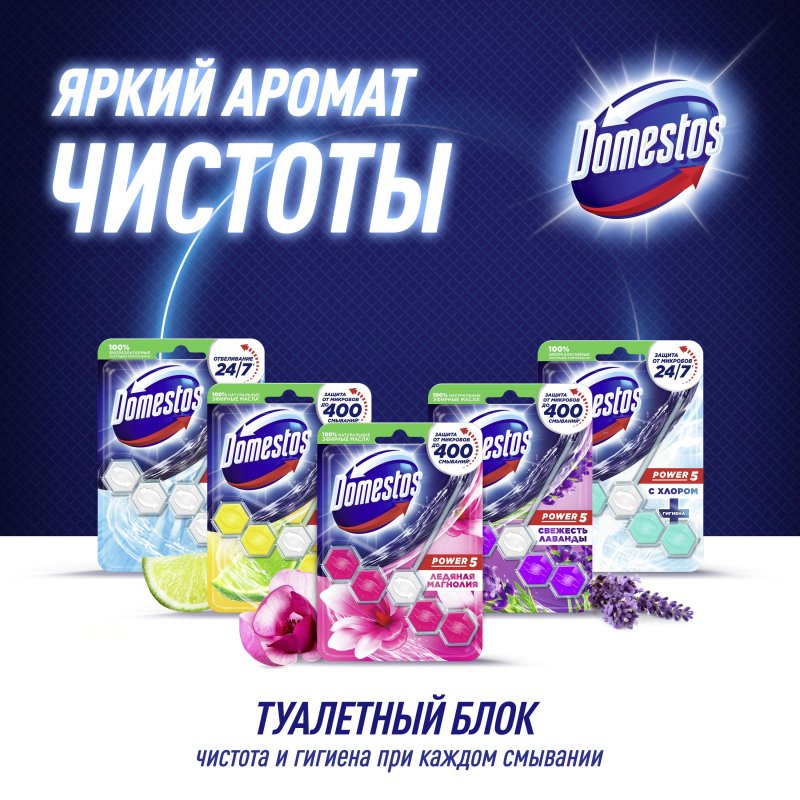 Подвесной блок для унитаза Domestos «Power 5. Ледяная Магнолия», 55г