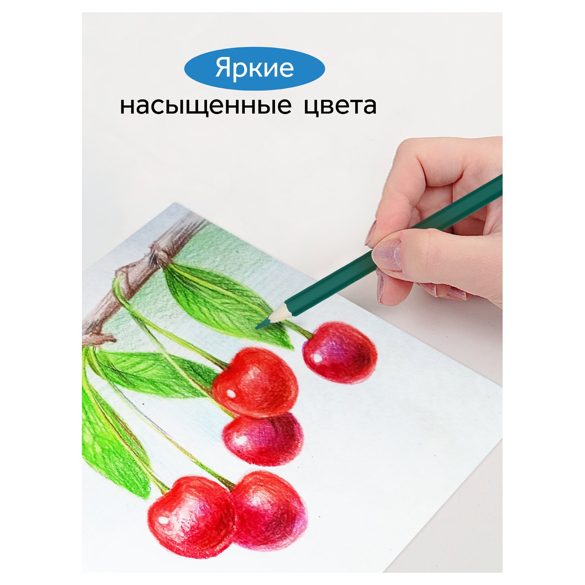 Карандаши акварельные Гамма «Классические», 18цв., шестигранные, заточен., с кистью, картон. упак., европодвес