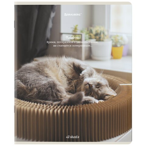 Тетради ДЭК А5 48 л. КОМПЛЕКТ 5 шт. BRAUBERGклеткаматовая ламинация«Cats»404673