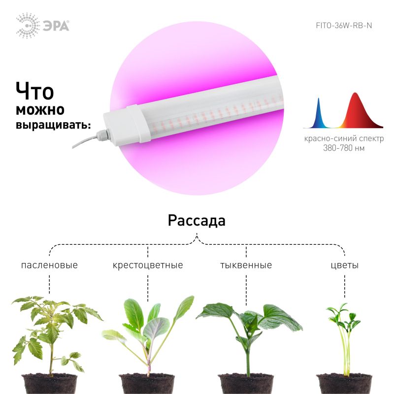 Фитосветильник линейный красно-синего спектра ЭРА FITO-36W-RB-N (Б0045697)