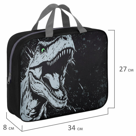 Папка на молнии с ручками BRAUBERG А4, 1 отделение, полиэстер, 80 мм, Scary dino