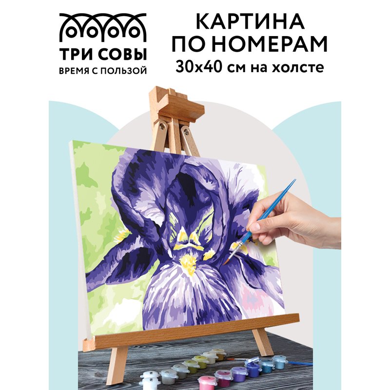 Картина по номерам на холсте ТРИ СОВЫ «Ирис», 30×40, с акриловыми красками и кистями
