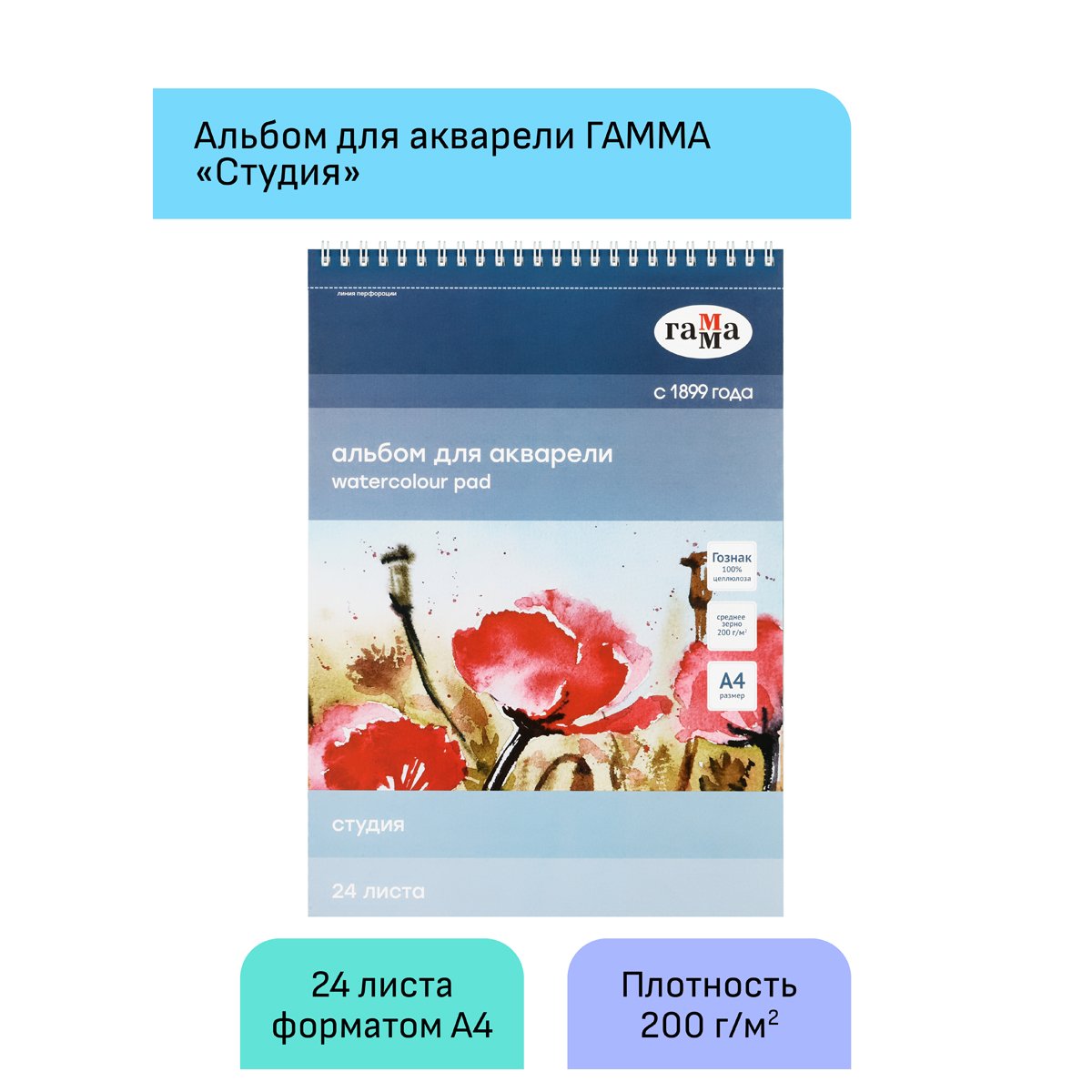 Альбом для акварели 24л., А4, на спирали Гамма «Студия», 200г/м2, среднее зерно, перфорация на отрыв