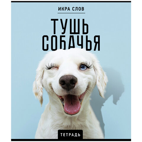 Тетрадь А5 48 л., ПЗБМ, скоба, клетка, конгрев, TWIN-лак, «Икра слов», (5 видов)
