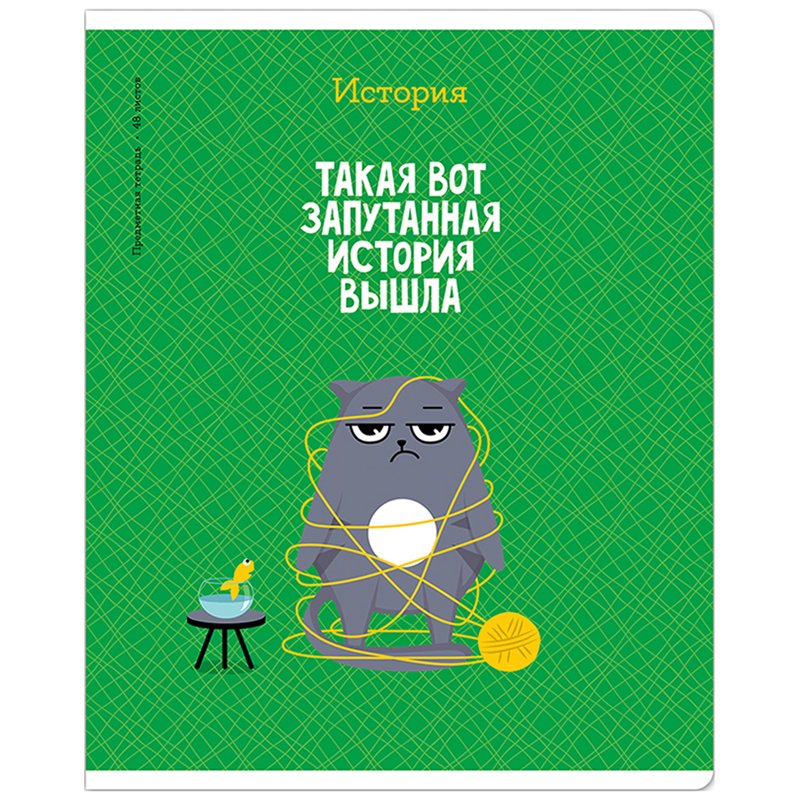 превью Тетрадь предметная 48л. ArtSpace «Котоцинизм» - История, ТВИН-лак