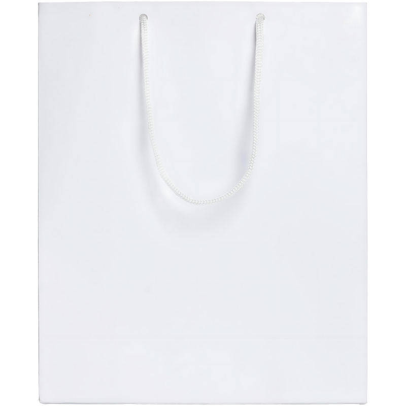 Пакет подарочный Ample M, 23×28х9см, белый, 7440.60