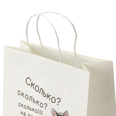 Пакет подарочный (1 штука) 26×13х32 см (L) «Сколько», крафт, ЗОЛОТАЯ СКАЗКА