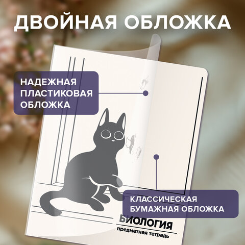 Тетради предметные, КОМПЛЕКТ 12 ПРЕДМЕТОВ 48 л., пластиковая обложка, BRAUBERG «КОТ-НЕПОСЕДА»