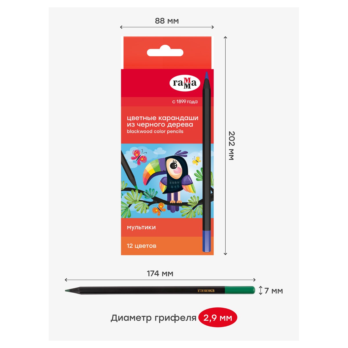 Карандаши цветные Гамма «Мультики», 12цв., черное дерево, заточен., картон. упак., европодвес