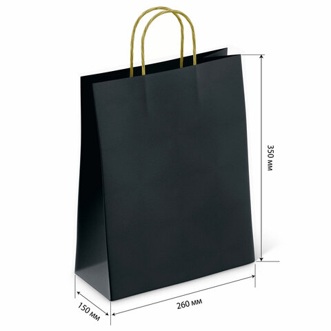 Крафт-пакет бумажный «Black» 26×15х35 см, с кручеными ручками, плотность 80 г/м2, моноцвет