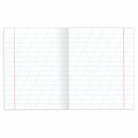 Тетради ДЭК 12 л. КОМПЛЕКТ 10 шт. с ЗЕЛЁНОЙ обложкой, ЮНЛАНДИЯ, косая линия