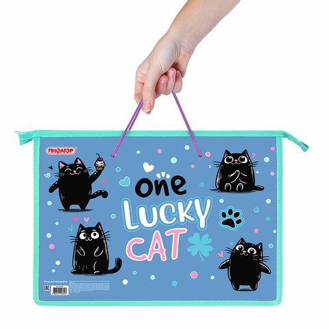 Папка на молнии с ручками ПИФАГОР А4, 1 отделение, пластик, ручки-шнурок, «Funny cats»
