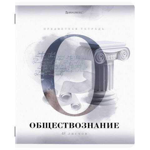 Тетради предметные, КОМПЛЕКТ 12 ПРЕДМЕТОВ, 48 л., матовая ламинация, лак, BRAUBERG, «CALM»