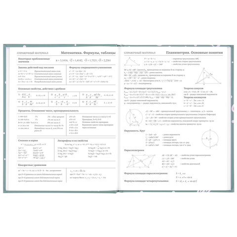 Дневник 5-11 класс 48 л., твердый, BRAUBERG, блестки, с подсказом, «Кактусы»
