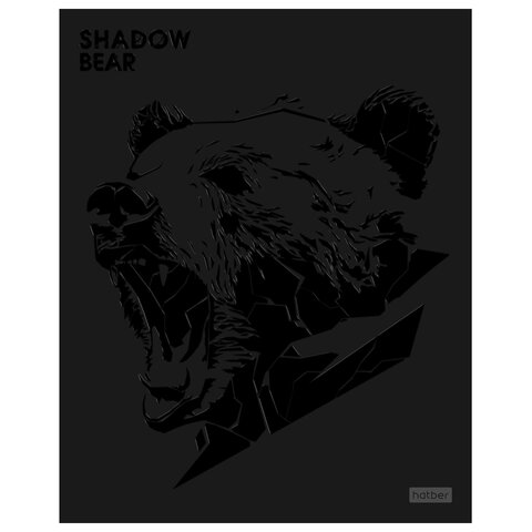 Тетрадь А5, 48 л., HATBER, скоба, клетка, матовая ламинация, 3D-лак, «Shadow» (микс в спайке), 093204